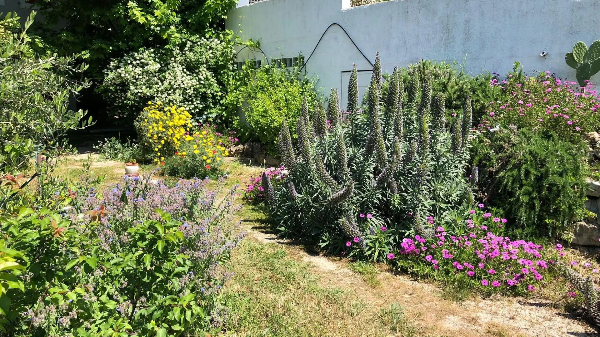 Maison De Charme Classee 3 Etoiles - Calme, Jardin, Salle De Sport, Piscine Marsylia Dom wakacyjny