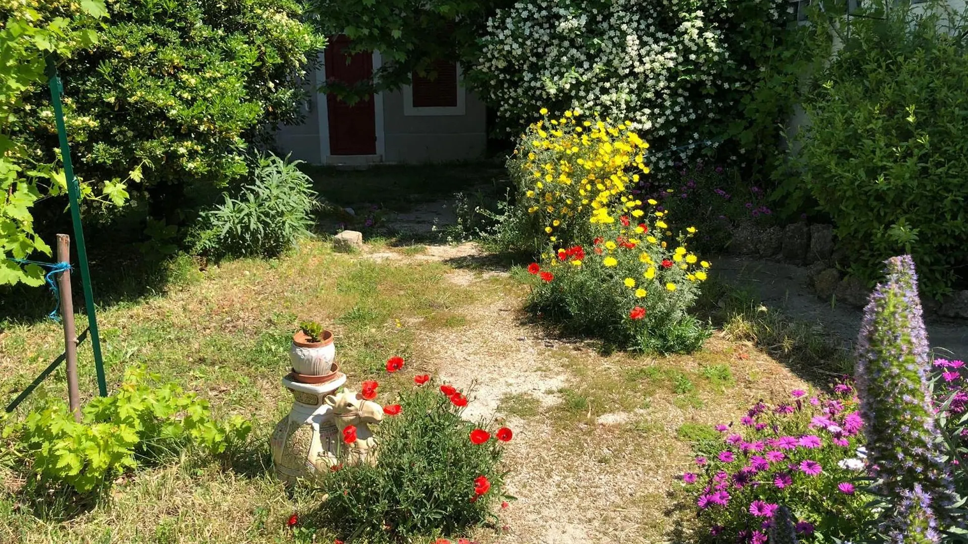 Maison De Charme Classee 3 Etoiles - Calme, Jardin, Salle De Sport, Piscine Marsylia