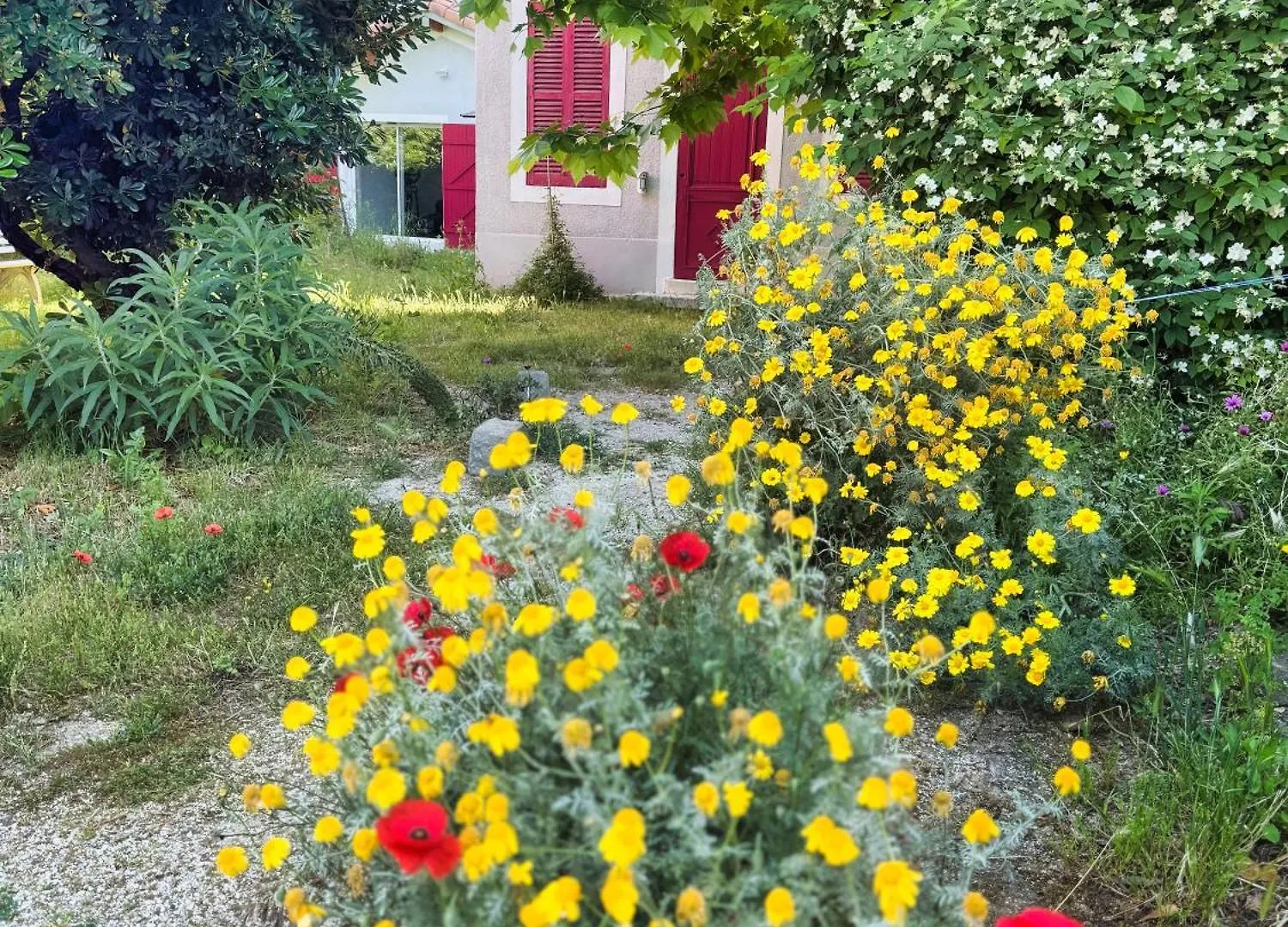 Maison De Charme Classee 3 Etoiles - Calme, Jardin, Salle De Sport, Piscine Marsylia